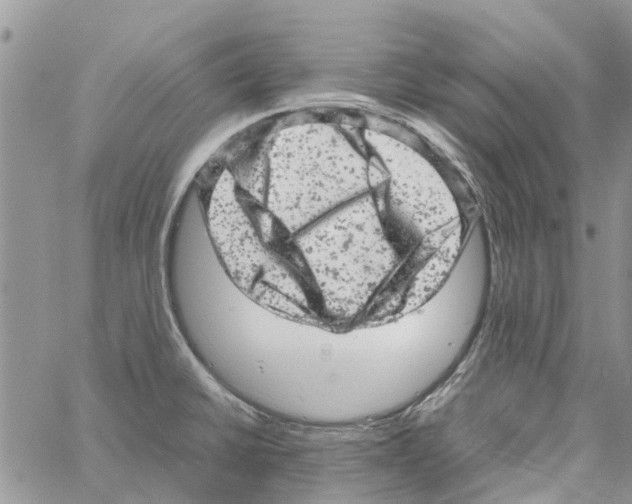 X0000061761430200512302252