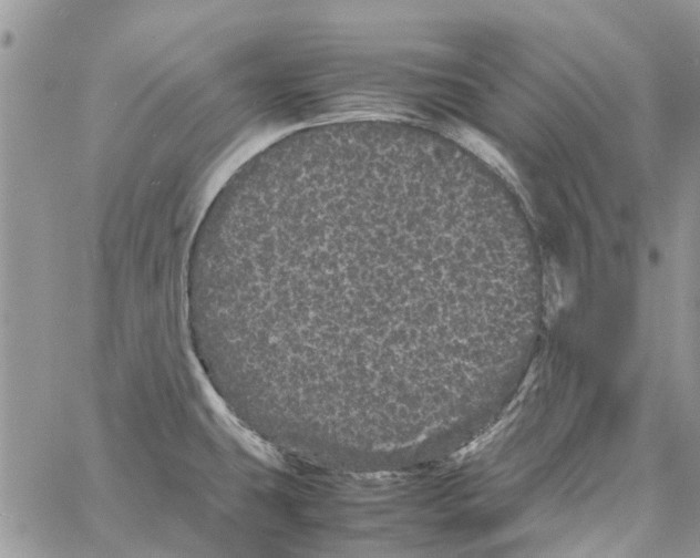 X0000061761431200512302252