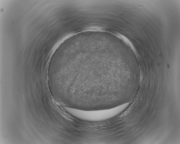 X0000061761435200512302252