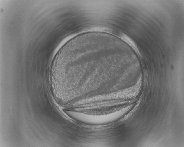 X0000061761436200512302252