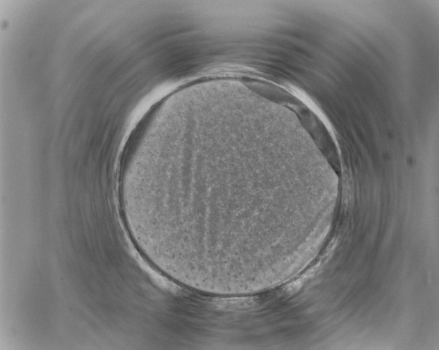 X0000061761437200512302252