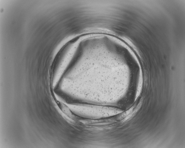 X0000061761438200512302252