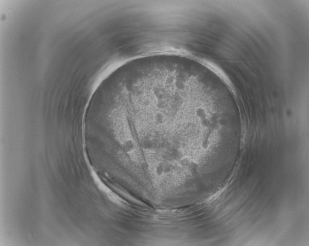 X0000061761439200512302252