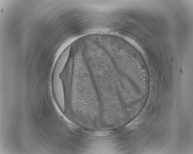 X0000061761440200512302252