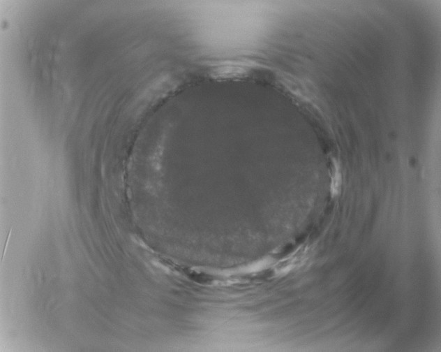 X0000061761441200512302251