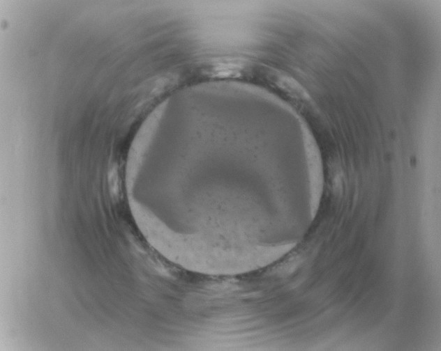 X0000061761442200512302251