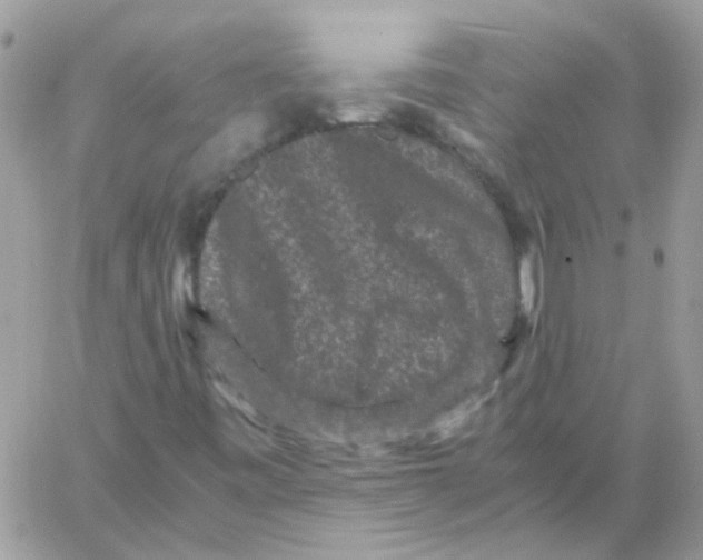 X0000061761443200512302251