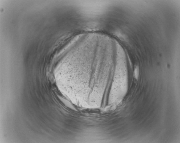 X0000061761444200512302251