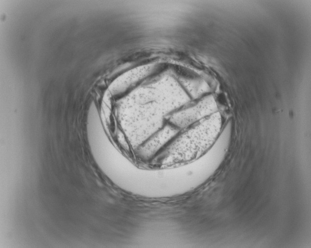 X0000061761445200512302251