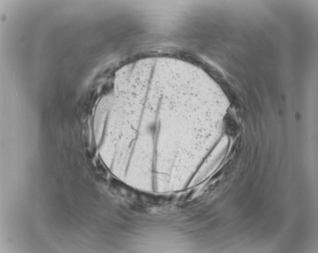 X0000061761447200512302251