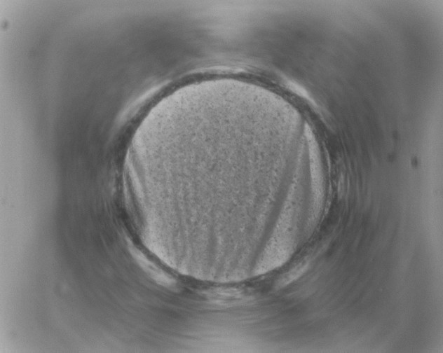 X0000061761448200512302251