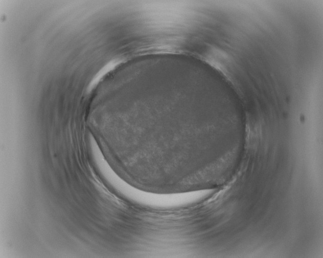 X0000061761450200512302251