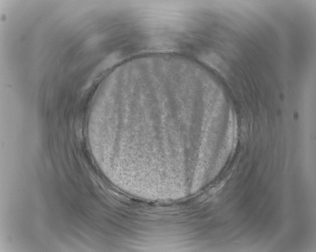 X0000061761451200512302251