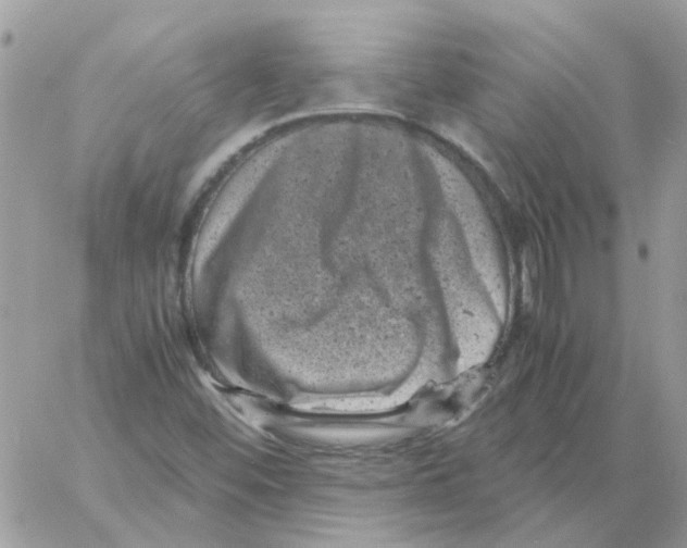 X0000061761452200512302251