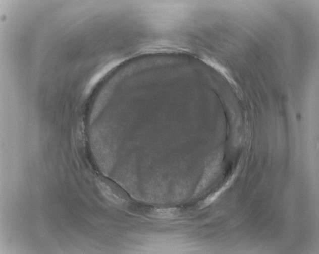 X0000061761453200512302251