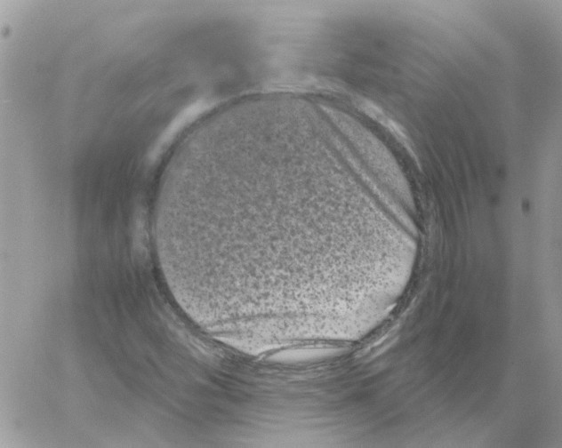 X0000061761454200512302251