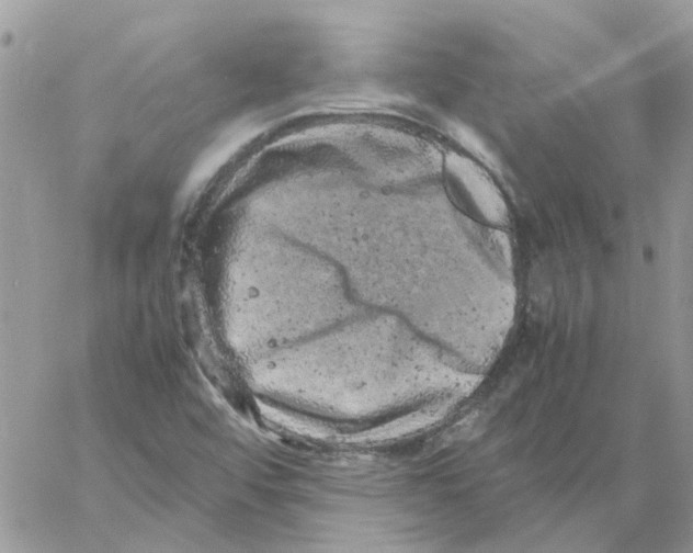 X0000061761456200512302251