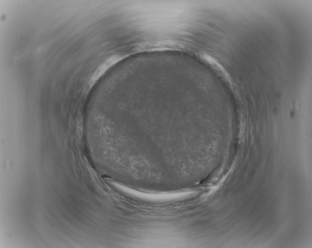 X0000061761457200512302251