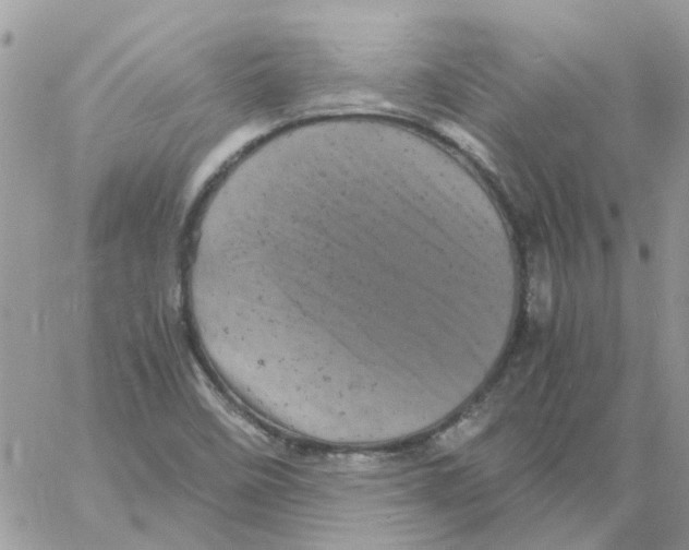 X0000061761458200512302251