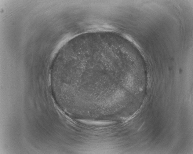 X0000061761459200512302251