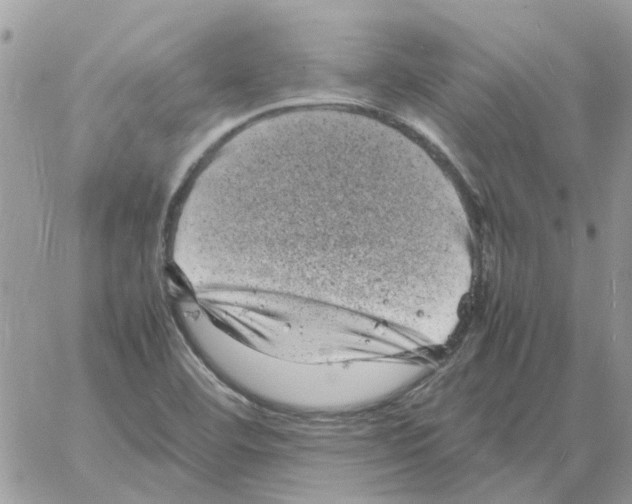 X0000061761460200512302251