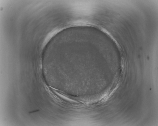 X0000061761461200512302251