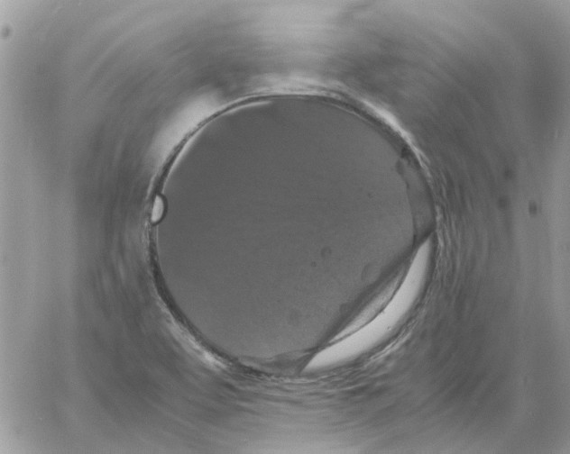 X0000061761463200512302251