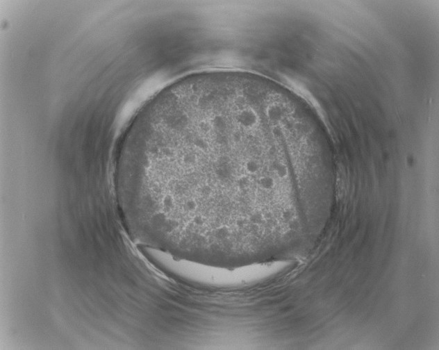 X0000061761464200512302251