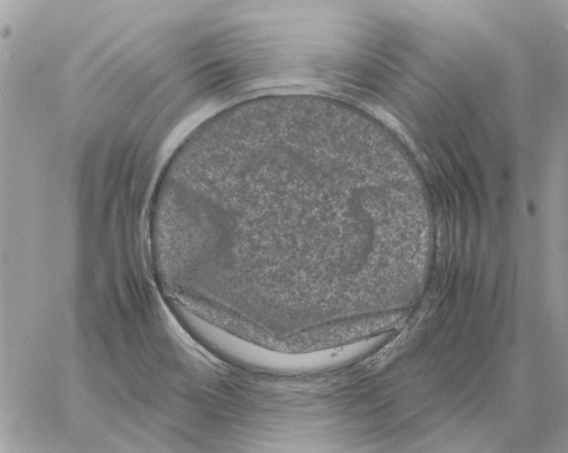 X0000061761466200512302251