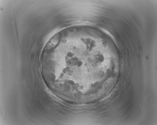 X0000061761467200512302251