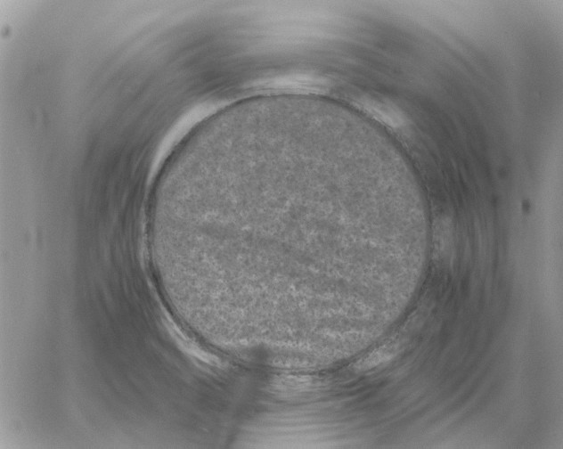 X0000061761470200512302251