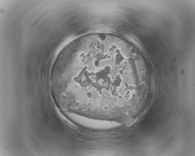 X0000061761471200512302251