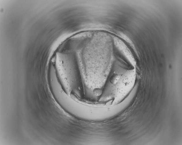 X0000061761472200512302251