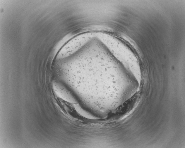 X0000061761473200512302251