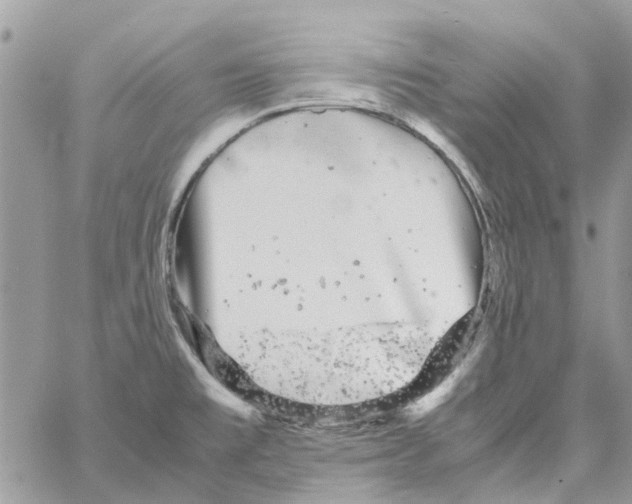 X0000061761477200512302251