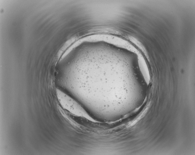 X0000061761481200512302251