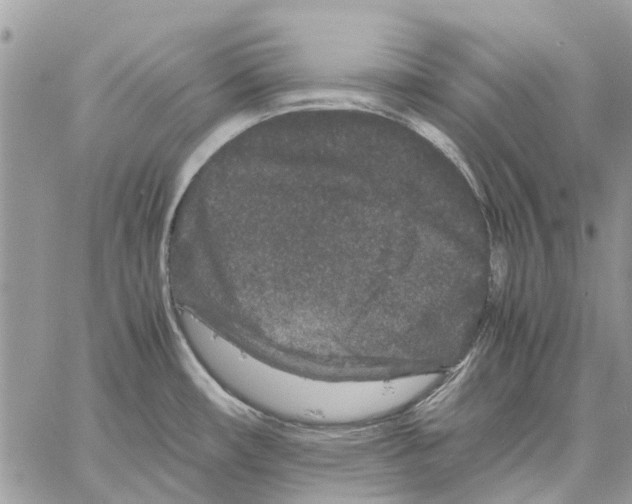 X0000061761482200512302251