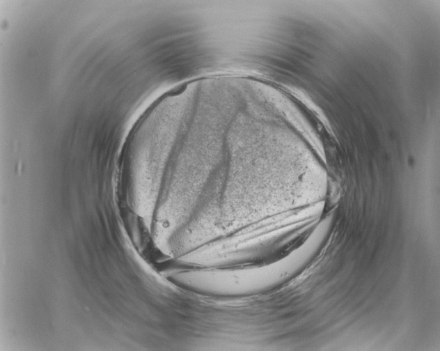 X0000061761484200512302251