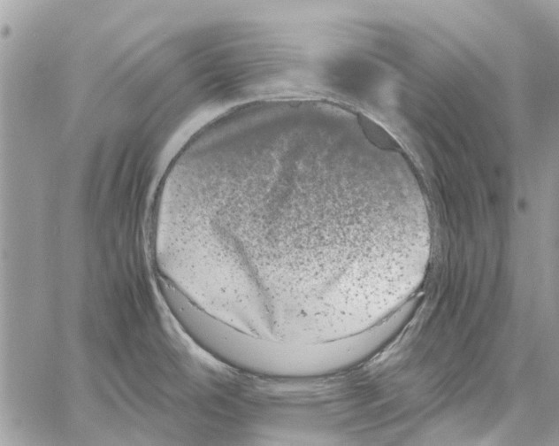 X0000061761486200512302250