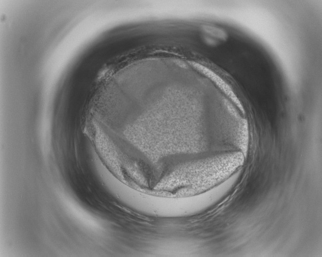 X0000061761487200512302250