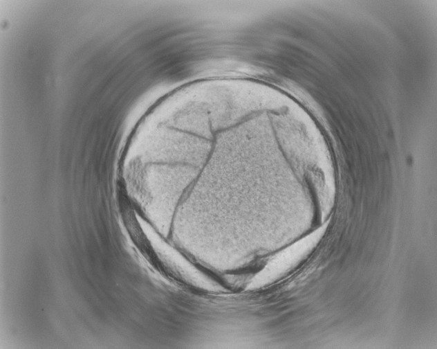 X0000061761488200512302250