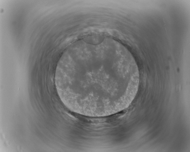 X0000061761489200512302250