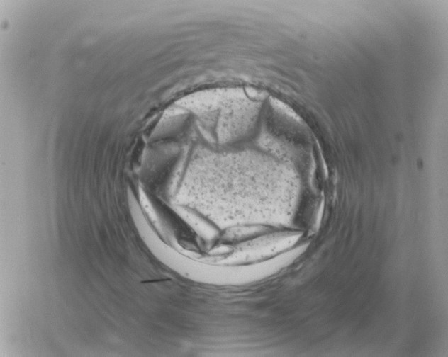 X0000061761490200512302250