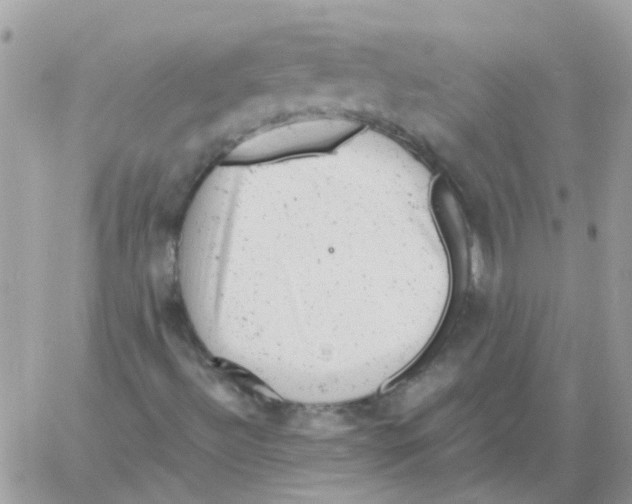 X0000061761492200512302250