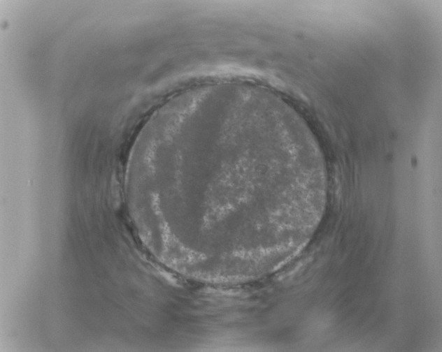 X0000061761493200512302250