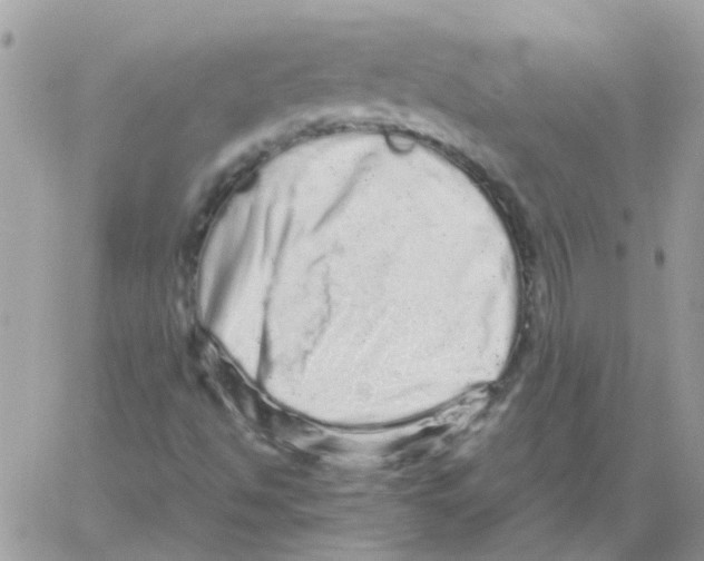 X0000061761494200512302250