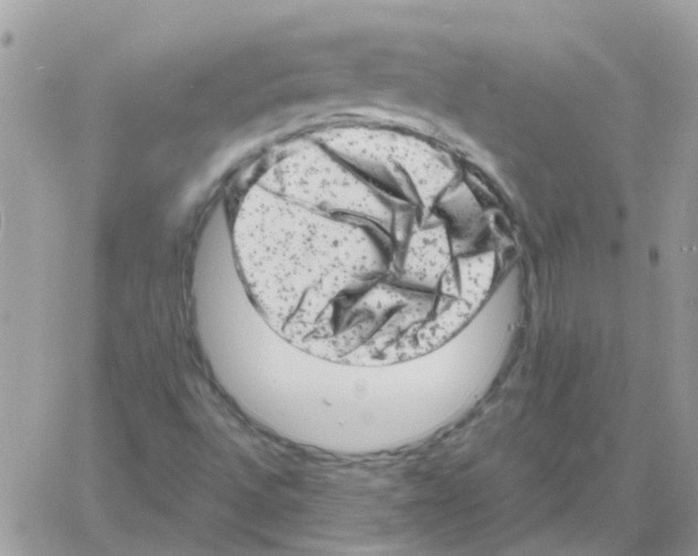 X0000061761496200512302250