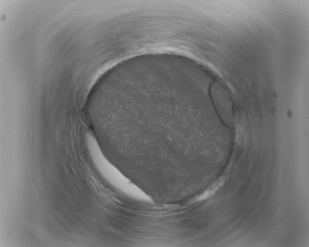 X0000061761497200512302250