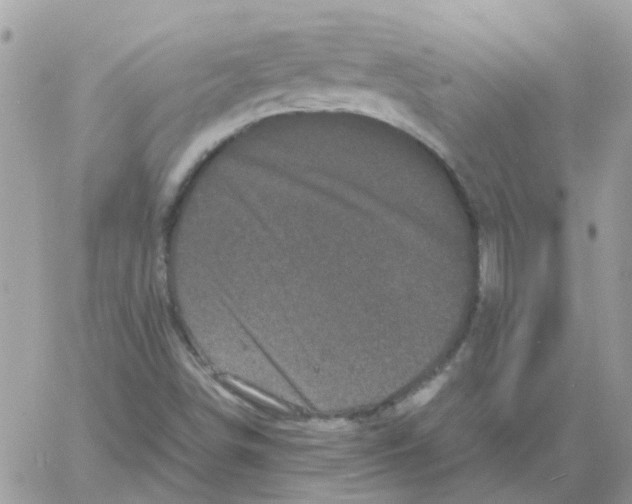 X0000061761498200512302250