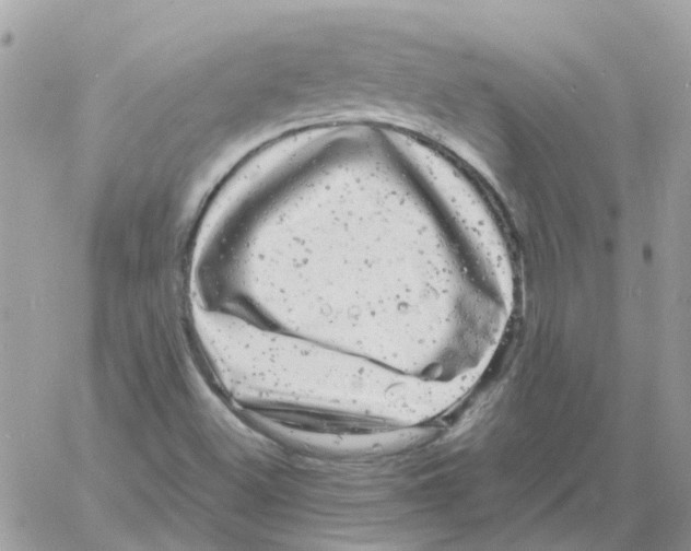 X0000061761500200512302250